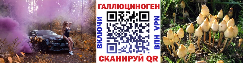 Псилоцибиновые грибы Magic Shrooms  Старый Оскол 