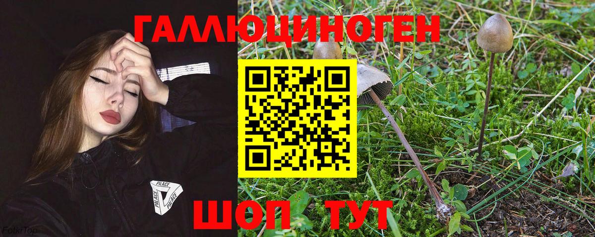 Галлюциногенные грибы мицелий  Вход с VPN  Старый Оскол 